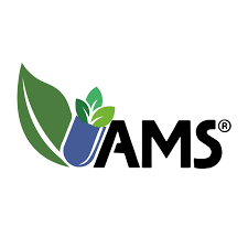 AMS