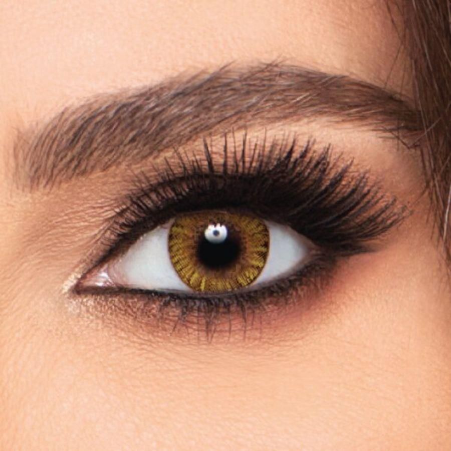 Freshlook Contact Lenses 1 Day 860 138 00.00 Pure Hazel 10 Pieces